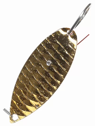 Gold Spoon
