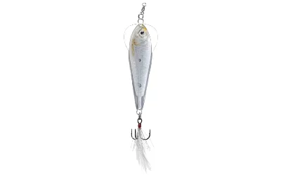 Silver Shad Spoon