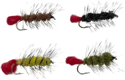 Fly Imitations (Woolly Bugger)