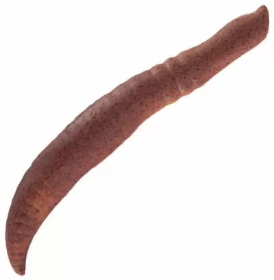 Waxworms Or Nightcrawlers On Small Hooks