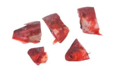 Cut Shad