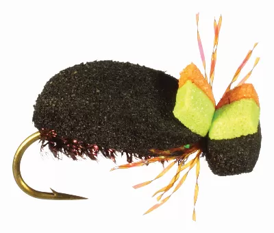 Foam Beetle