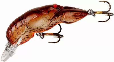 Carolina Rig With Crawfish Bait
