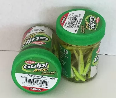 Gulp! Shad Minnow Soft Bait