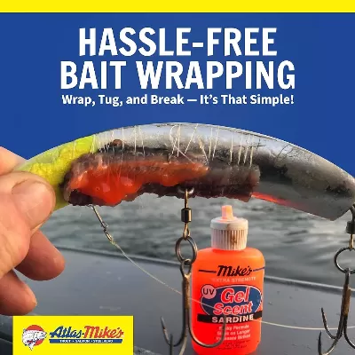 Clam Or Mussel Scented Soft Bait
