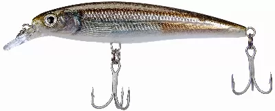 Rapala X-Rap Minnow