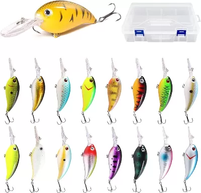 Deep Diving Rapala