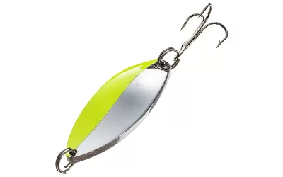 Silver And Chartreuse Spoon