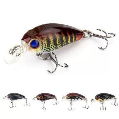 Rainbow Trout Minnow Lure