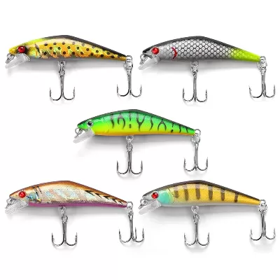 Crankbait With Natural Minnow Color