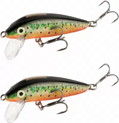 Fluorescent Trout Jerkbait