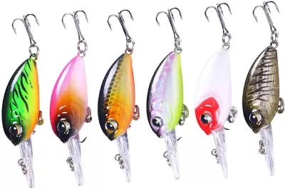 Crappie Minnows