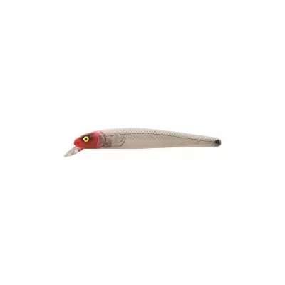 Silver Flash Minnow