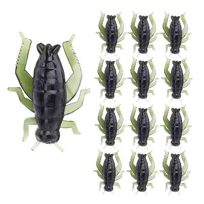 Cricket Or Beetle Imitation