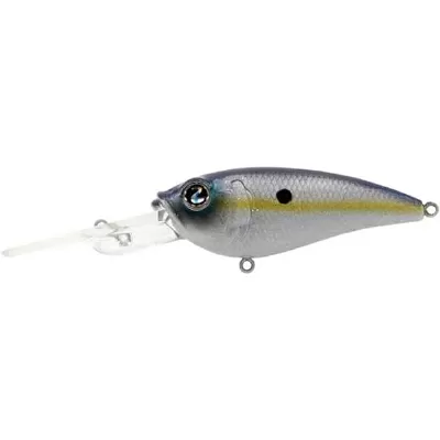 Mirrored Minnow Crankbait