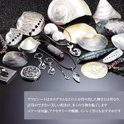 Clam Or Oyster Teasers