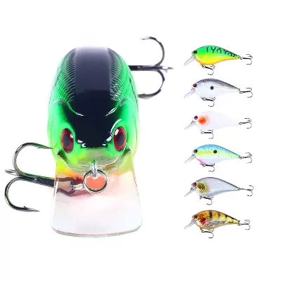Shallow Diving Crankbait