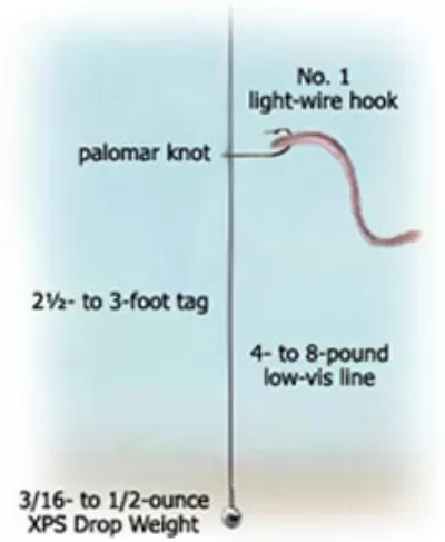 Worm Hooks With Nightcrawlers
