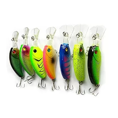 Crankbaits (Shallow Diving)