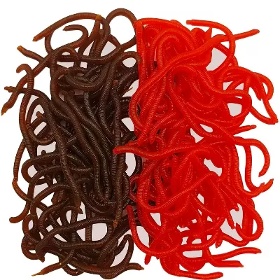 Live Or Soft Plastic Worms