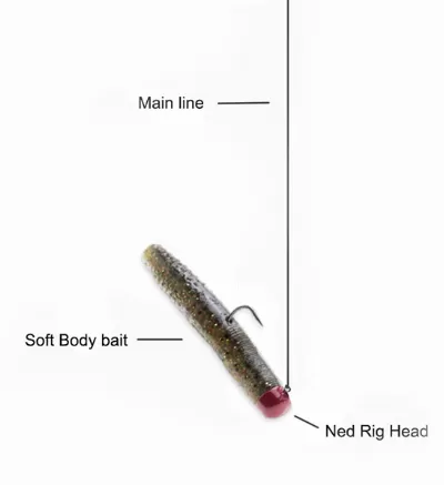 Weighted Ned Rig
