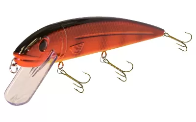 Crankbait With Squeaker