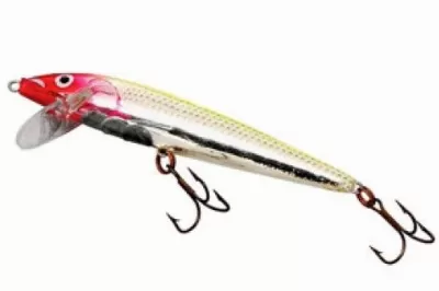Small Floating Jerkbait
