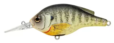 Crankbait With Bluegill Pattern
