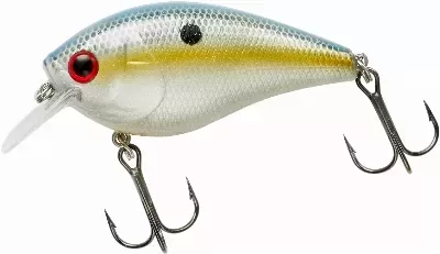 Crankbait