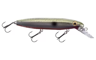 Minnow-Shaped Crankbait