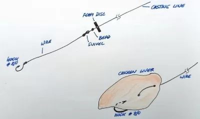 Bottom Fishing Rig With Chicken Liver