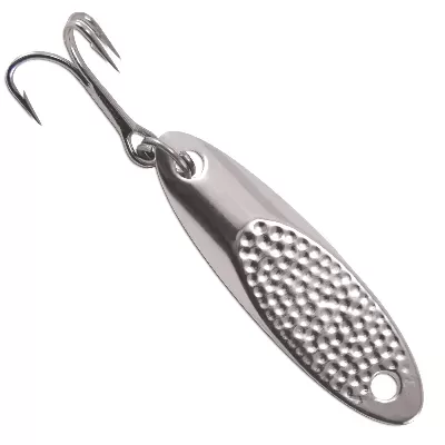 Silver Spoon