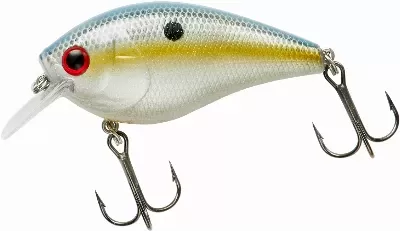 Crankbait