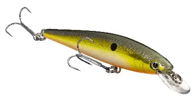 Jerkbait
