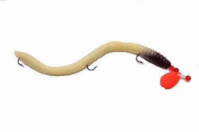 Spinner Rig With Nightcrawler