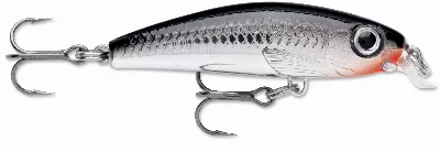 Small Crappie Minnow