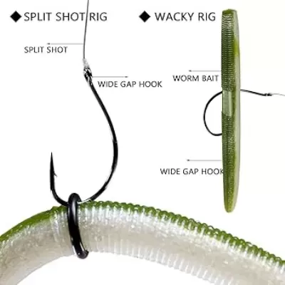 Drop Shot Rig