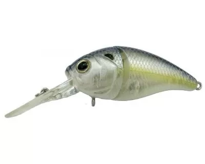 Topwater Walkers