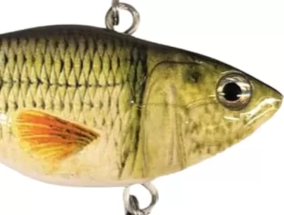 Gold And Black Crankbait