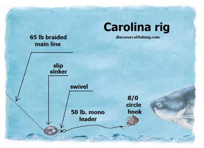 Nightcrawler On Slip Sinker Rig