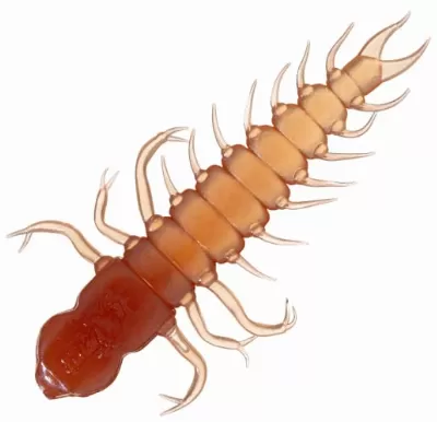 Plastic Insect Imitator