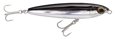 Silver Flying Sardine