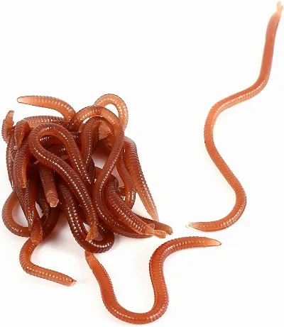 Live Worm Imitations