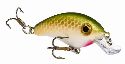 Crankbait Minnow