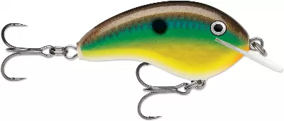 Shallow Crankbait